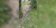 Flooding worries neighbors amid construction of new FCPS school building