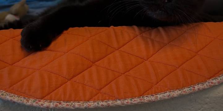 MSPCA hosting fee-free adoption event for Halloween