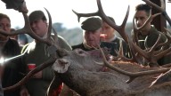Extremadura encara una temporada récord con 1.500 monterías y un impacto económico de 200 millones impulsado por cazadores de todo el mundo