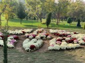 New chrysanthemum garden to boost autumn tourism: Dir Floriculture