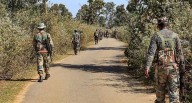 Search operation launched after suspicious movement in J&K’s Kathua