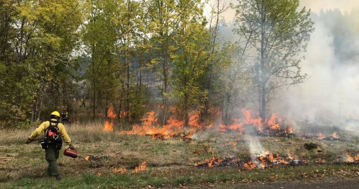 Lane County's Howard Buford Park trails closed for prescribed burn