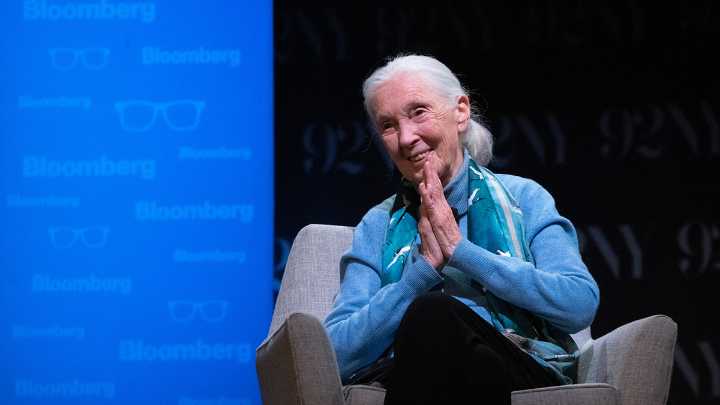 Jane Goodall, renowned anthropologist and conservationist, dies at 91
