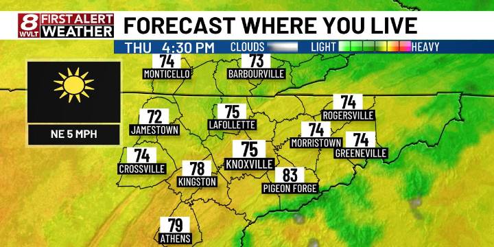 A warm sunshine filled afternoon ahead