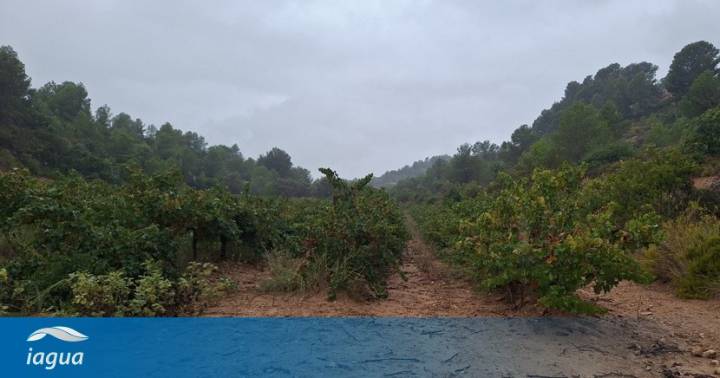 SpongeWorks: reducir la escorrentía y mejorar la infiltración en las cuencas del Magro y el Poyo