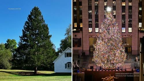 Rockefeller Center reveals 2025 Christmas tree from family in East Greenbush, New York