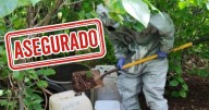 Destruyen tres almacenes de químicos para drogas sintéticas en Culiacán y Cosalá: hallan más de mil litros de sustancias peligrosas