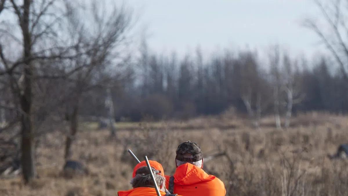 Safety Tips For Deer Hunting Season In Grey Bruce