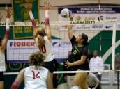 Press-Telegram girls volleyball playoff rankings with divisional outlook