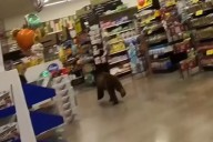 Video: Oso entra a una tienda de comestibles de EU y corre durante unos minutos