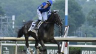 Derby winner Sovereignty scratched from the Breeders' Cup Classic