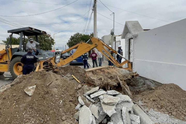 Saltillo: trabajadores originan fuga de gas tras retirar un árbol