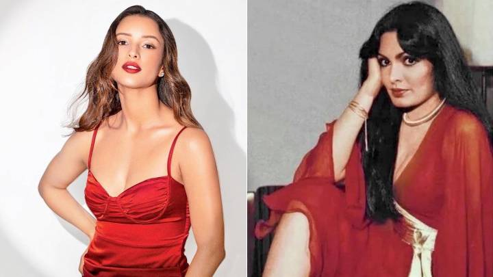 Have you heard? Triptii Dimri to play Parveen Babi in upcoming biopic