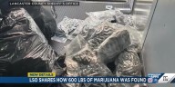 LSO shares how 600 pounds of marijuana was found
