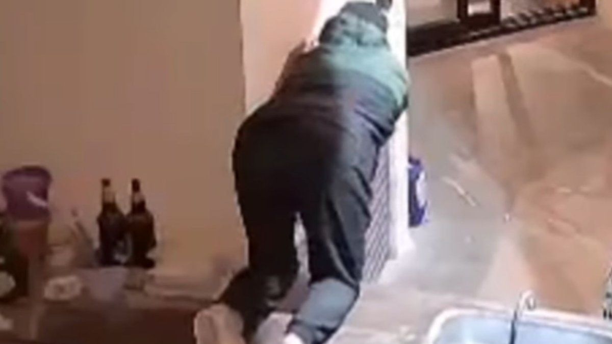 Insólito: un grupo de amigos compartía un asado, entró un ladrón a la casa y les robó el vacío