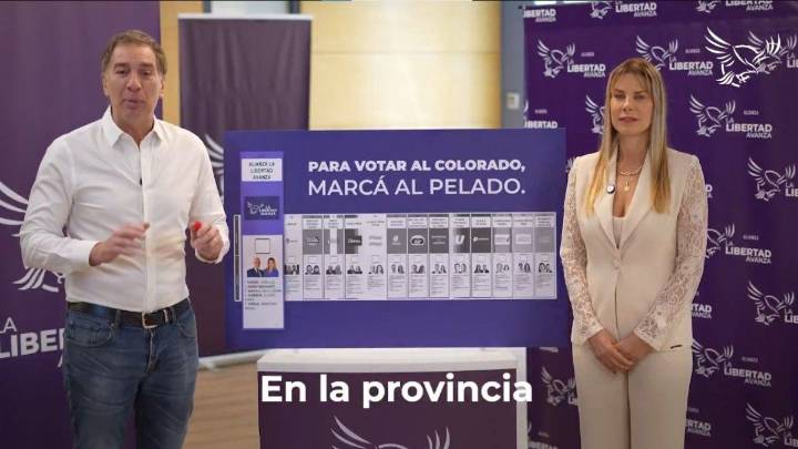 El llamativo spot de Diego Santilli de La Libertad Avanza para las elecciones: "Para votar al colorado, marcá al pelado"