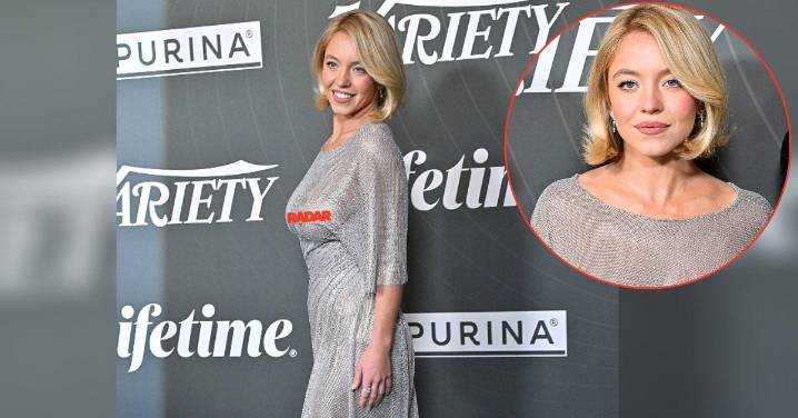 Braless Sydney Sweeney Stuns Fans In Completely Sheer Dress: Photos