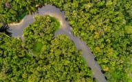 EBC Financial Group lanza programa para proteger el Amazonas con operaciones de trading