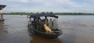 Con caninos antiexplosivos la armada garantiza la jornada electoral en la Amazonia
