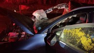 Car hits moose on Route 101 in Candia, NH