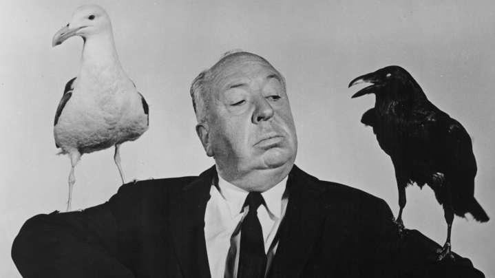 How Alfred Hitchcock Influenced The Mimosa