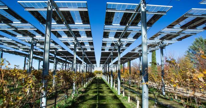 CSU unveils new agrivoltaic system at its Western Colorado Research Center in Mesa County