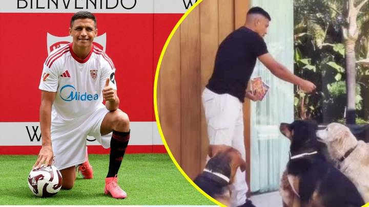 ¡Se sumó un nuevo integrante! Alexis Sánchez publica tierno video junto a todos sus perros