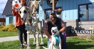'The Howling': Bitter Root Humane Association prepping for Halloween fundraiser