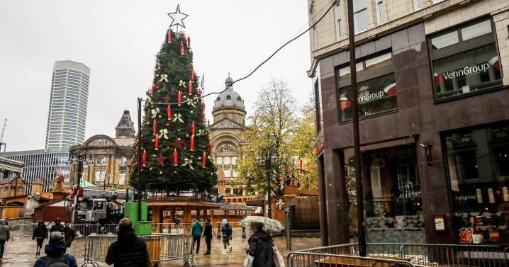 People divided after Christmas tree erected two months early