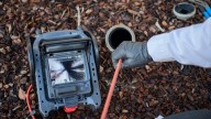 Say Goodbye To Fall Drain Clogs By Doing One Simple Landscaping Task In October