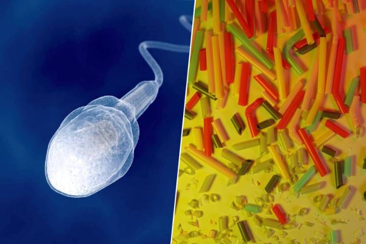 Si queremos tener más hijos, un investigador tiene claro qué hacer: limpiar nuestras eyaculaciones de microplásticos