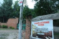 CHACO | El Gobierno impulsa la expropiación de la “chanchería” del clan Sena