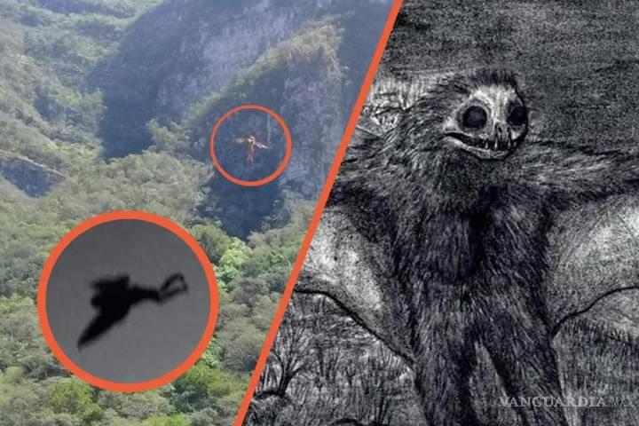 ¿Qué es el Hombre Pájaro?... la misteriosa criatura que presagia catástrofes; fue visto en Coahuila, Nuevo León y Tamaulipas (videos)