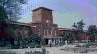 30% of DU undergrads opted for fourth year; maximum in humanities & popular colleges