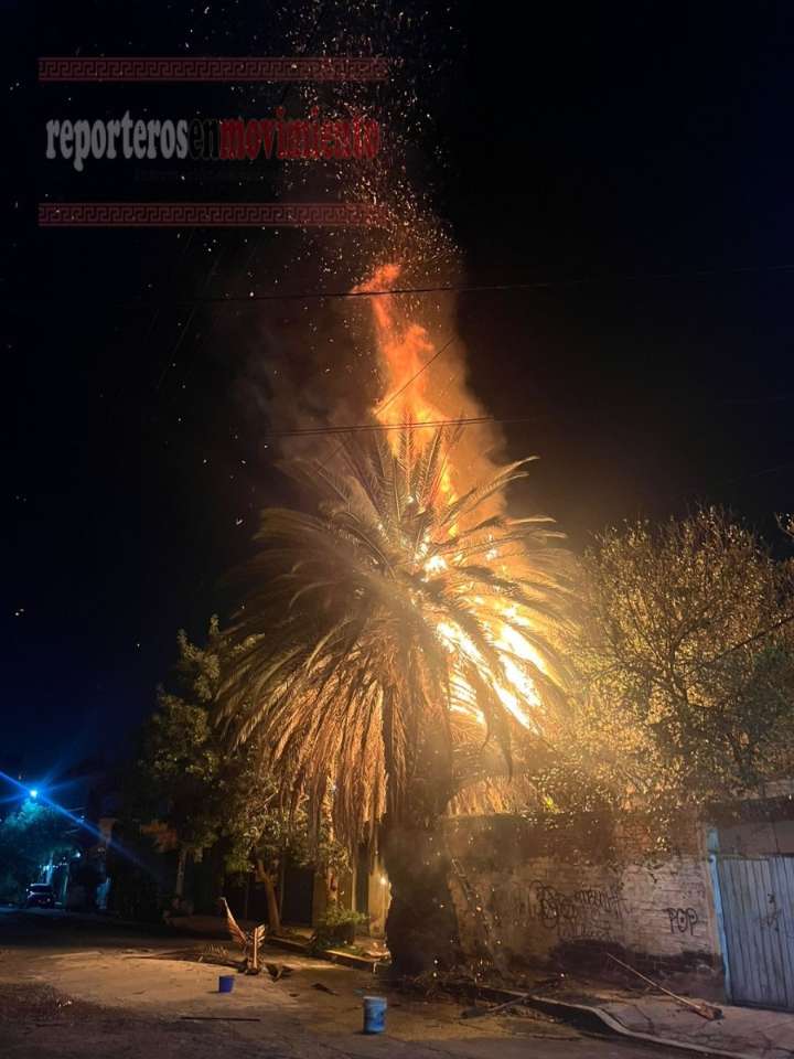 BOMBEROS SOFOCARON LAS LLAMAS DE FUEGO DE UNA PALMERA EN VALLE DE CHALCO