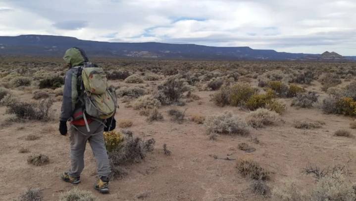 “Rata vizcacha”. Redescubren en Chubut un roedor único en el mundo que se creía extinto