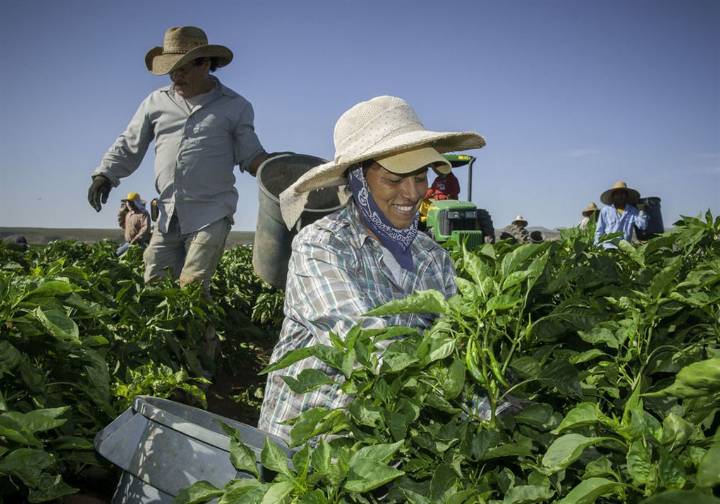 Patricia Lopez: Immigration policy has put our food supply at risk