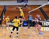 AIC women’s volleyball game a celebration of culture, competition