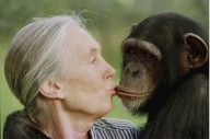 Jane Goodall, conservationist renowned for chimpanzee research and environmental advocacy, has died