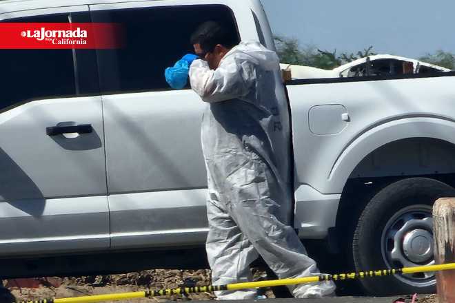 Dos mujeres asesinadas en distintas zonas de Mexicali este sábado