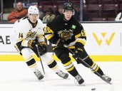 Sarnia Sting lose to No. 1 Brantford Bulldogs