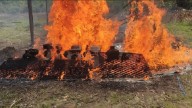 Siete campamentos de minería ilegal fueron neutralizados en Amazonas