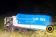 Un camión perdió el control al esquivar un ciervo en la autovía Artigas
