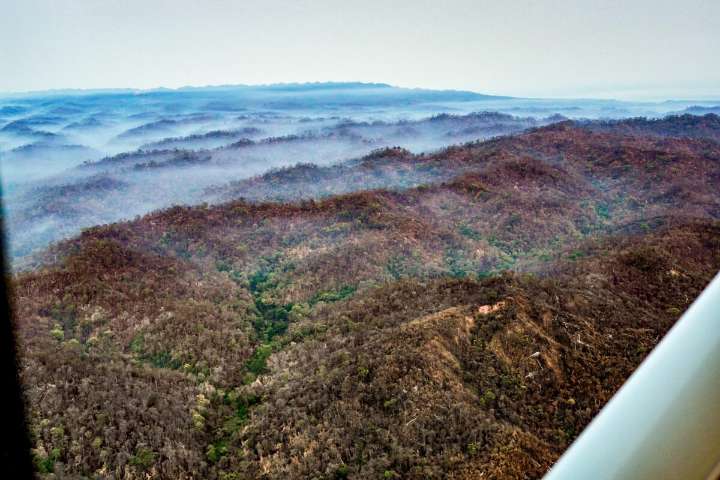 Una buena | Las lluvias extinguieron incendios forestales en Salta y Jujuy