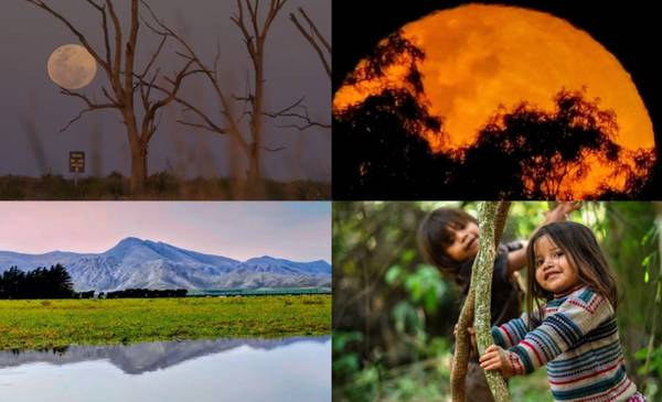 Las fotos de la semana en el Instagram de La Nueva.