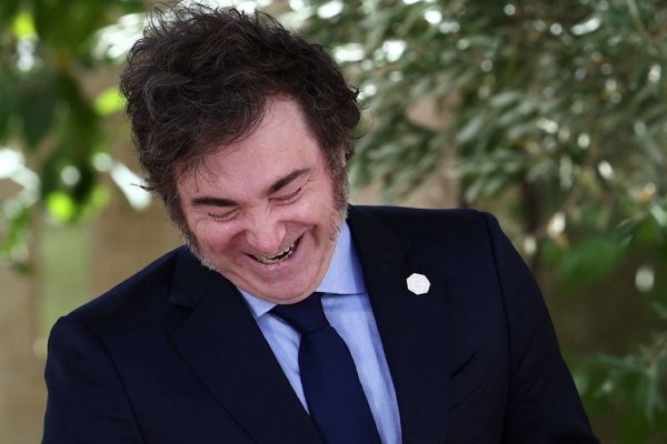 Javier Milei promulgó las leyes de financiamiento universitario y pediátrica pero las suspendió por decreto