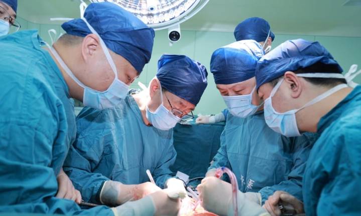 Paciente sobrevive seis meses con un hígado de cerdo modificado genéticamente en China
