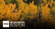 Leaf peeping safety: Officials on what to do and what not to do