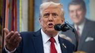 "Shutdown" en EE.UU.: "Otro paso de Trump para desbaratar el Estado profundo", afirma académico