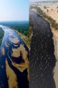 «Impacto Irreversible: Derrame de hidrocarburo trás inundaciones acelera la destrucción ambiental en el norte de Veracruz